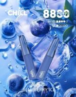 【新品上市】CHILL 抛棄式電子煙-8800口 | 買10送一：圖片 6